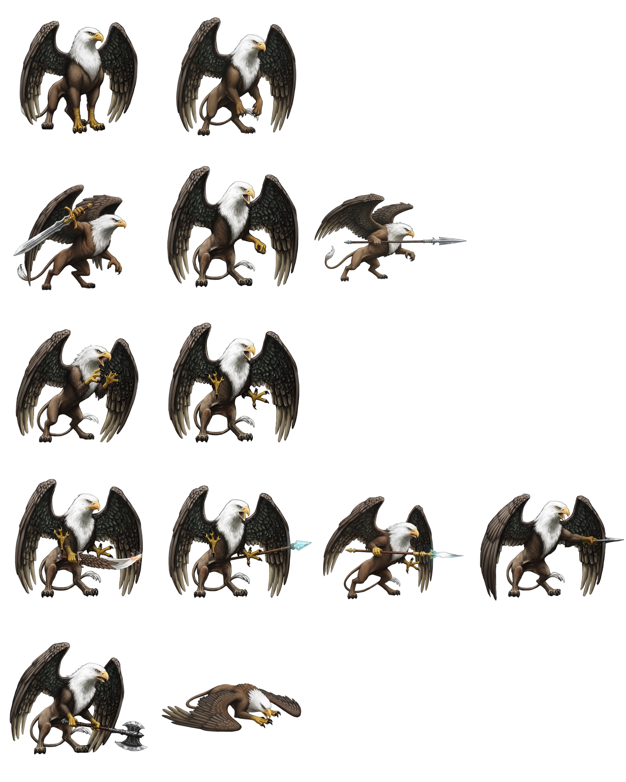 Griffon